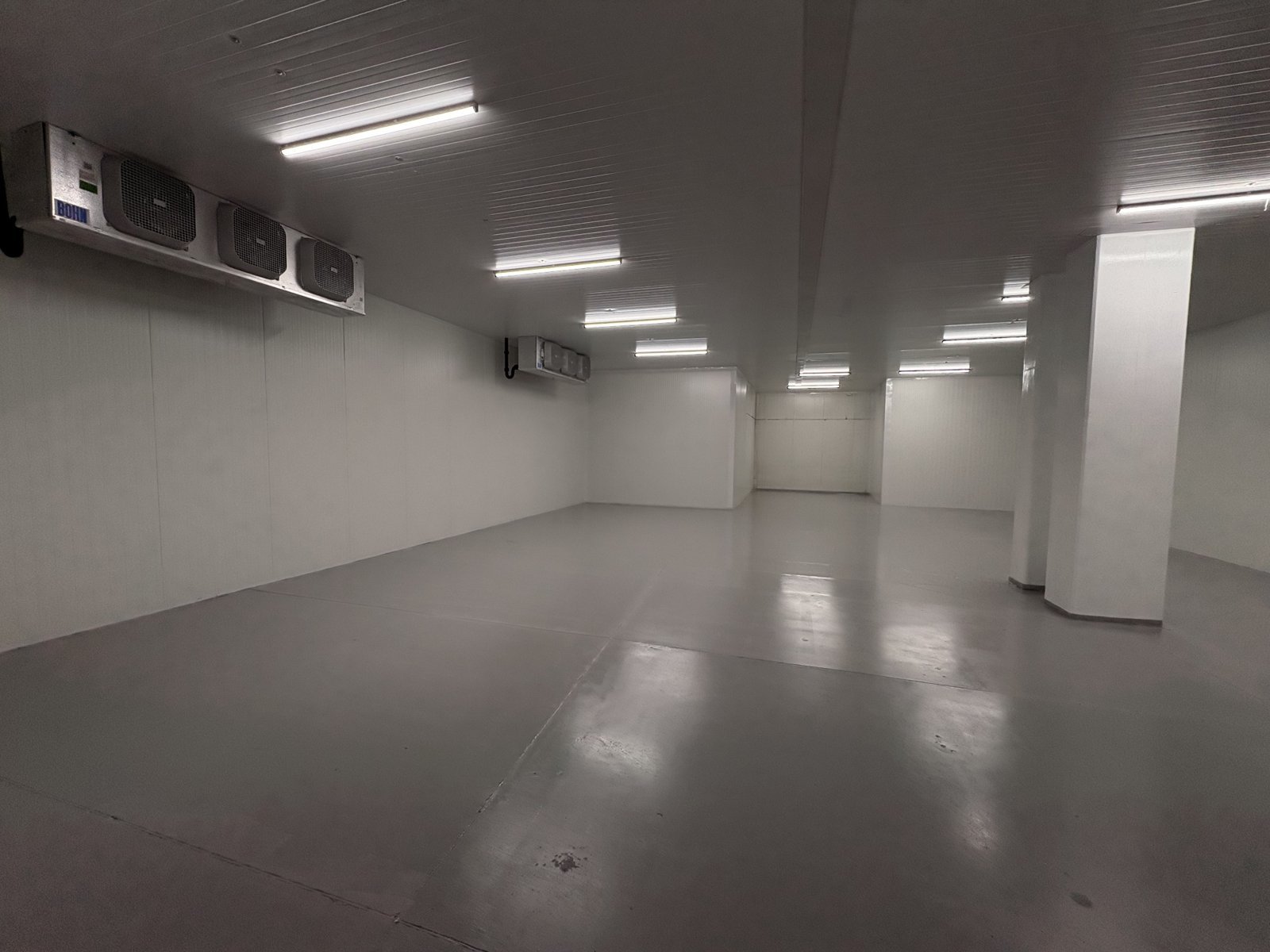 Cámara de refrigeración con luminarias y evaporadores